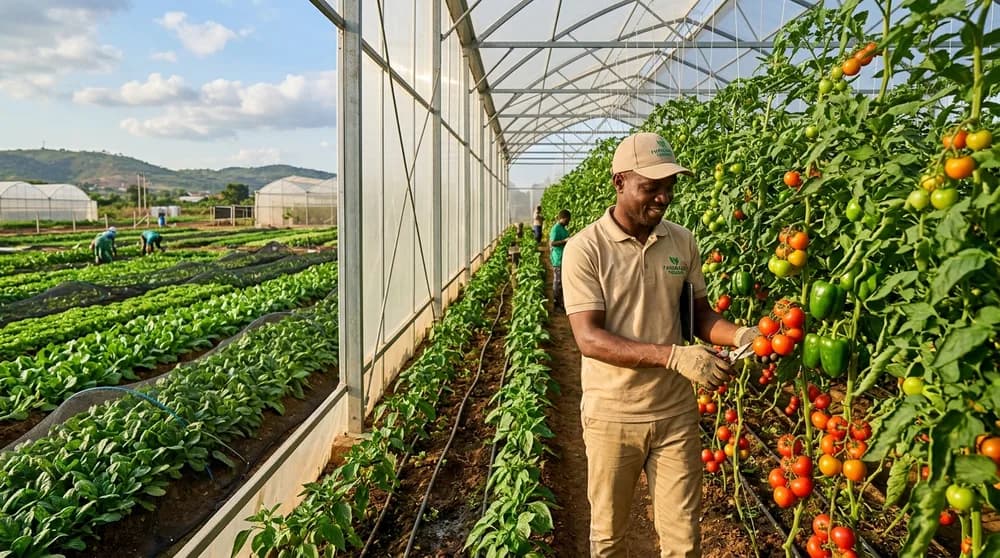 Crop Production